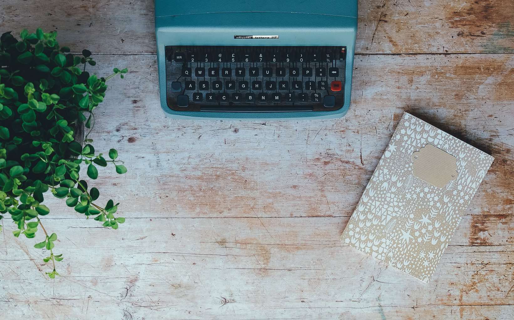 Best College Writing Programs
