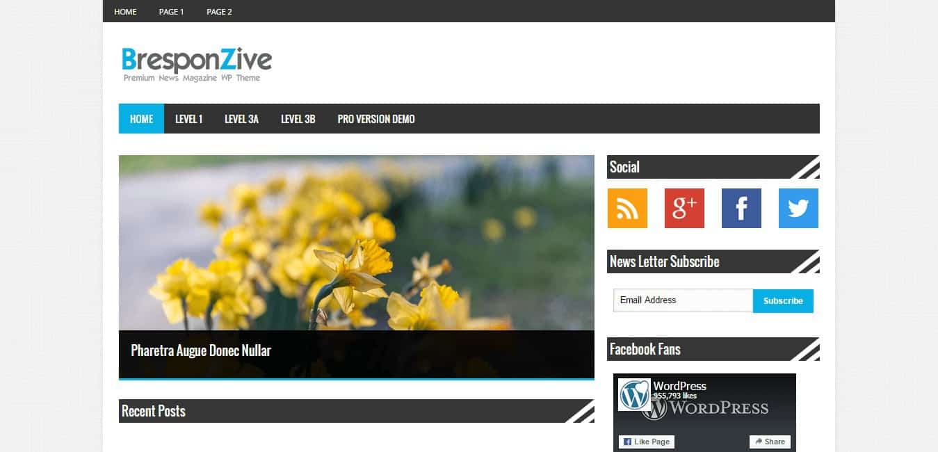 BresponZive WordPress Theme Free