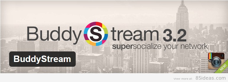 BuddyStream Plugin