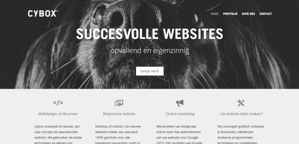 Cool Websites Designs