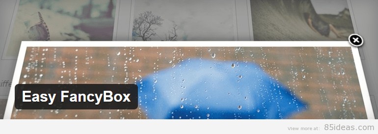 Easy FancyBox Plugin