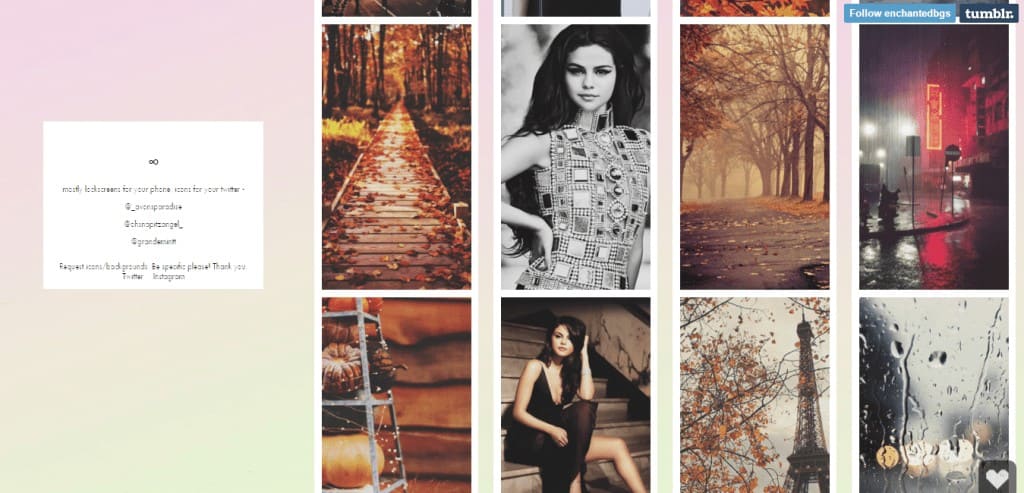 enchantedbgs tumblr