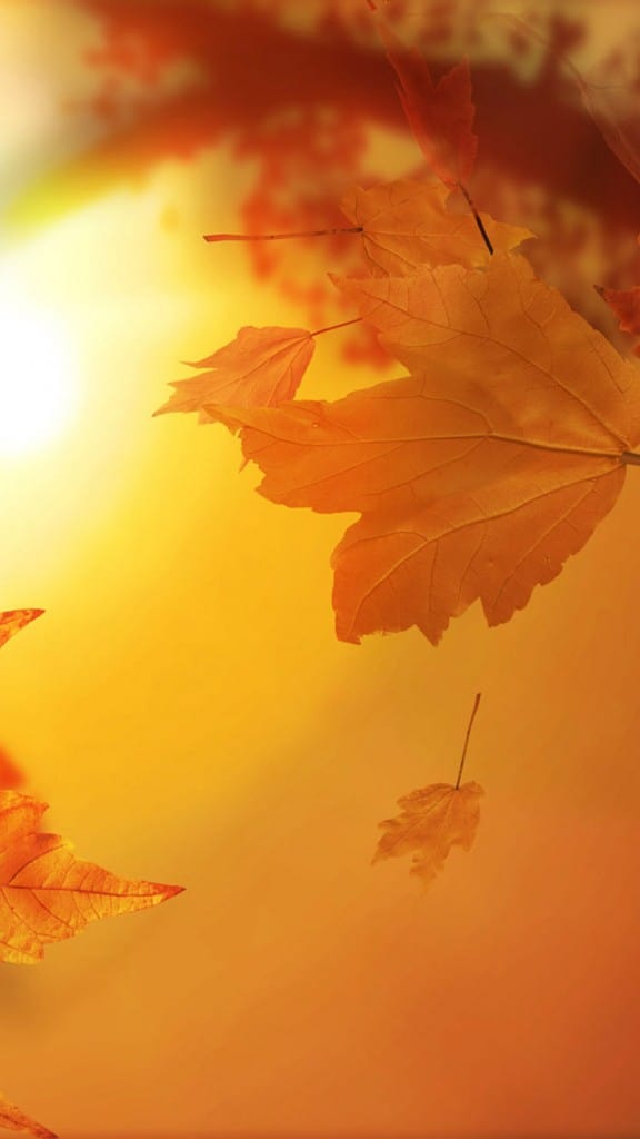 fall-iphone-wallpaper