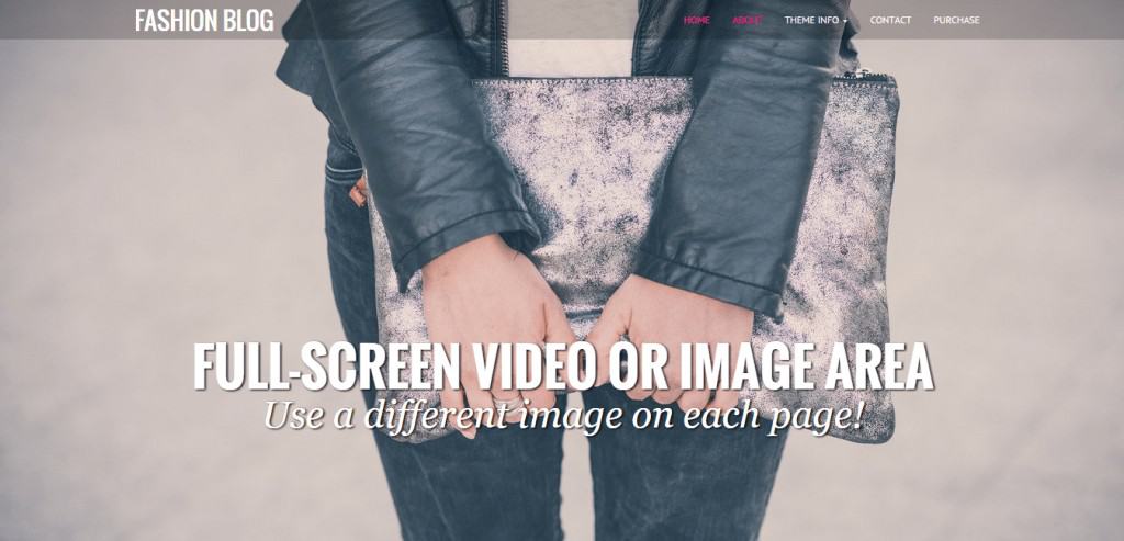 Fashion Blog Theme
