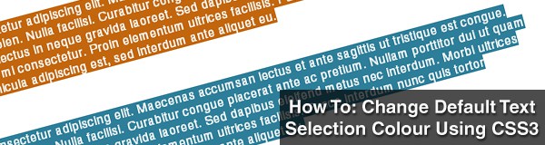 HOW TO CHANGE DEFAULT TEXT SELECTION COLOUR