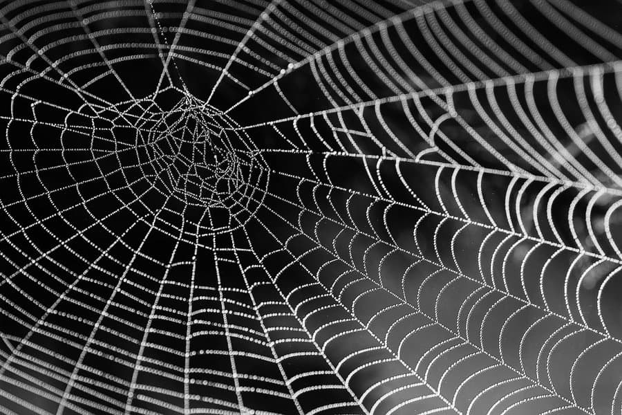 Internal-linking-domain authority