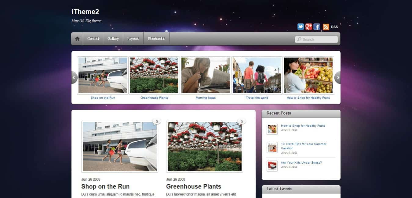 iTheme2 WP Theme