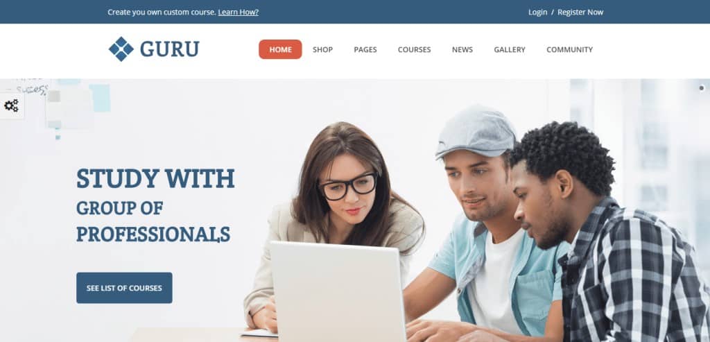 Learning Management System WordPress Theme Guru