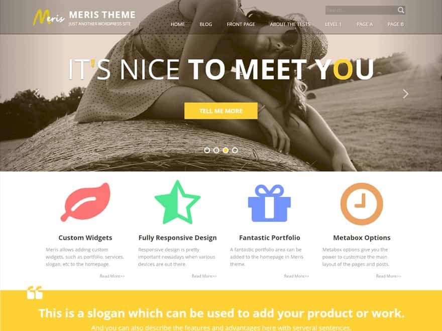 Meris free Theme