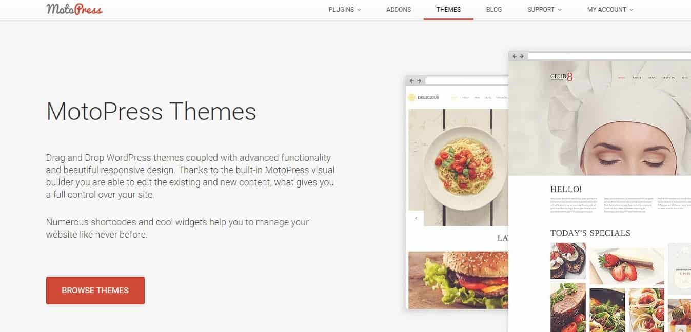 MotoPress Themes