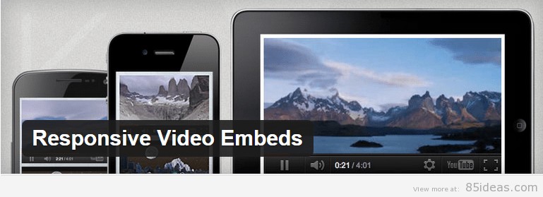 WordPress Video Plugins