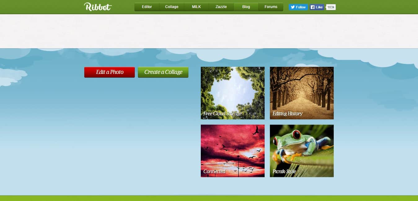 Ribbet Online Photo Editing