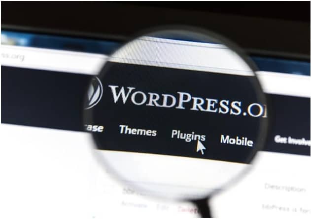 wordpress saas plugins