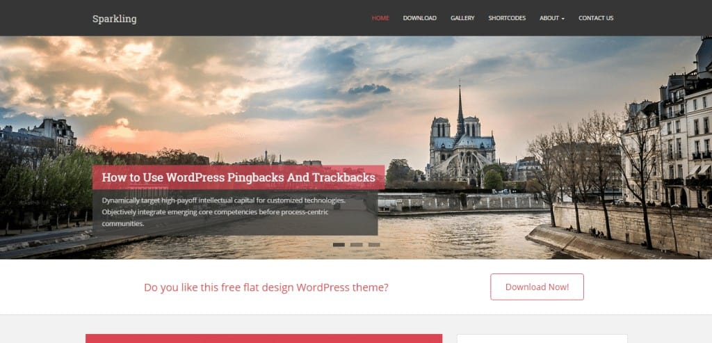 Sparkling Free flat design WordPress theme