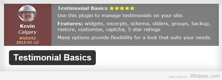 Testimonial Basics Plugin