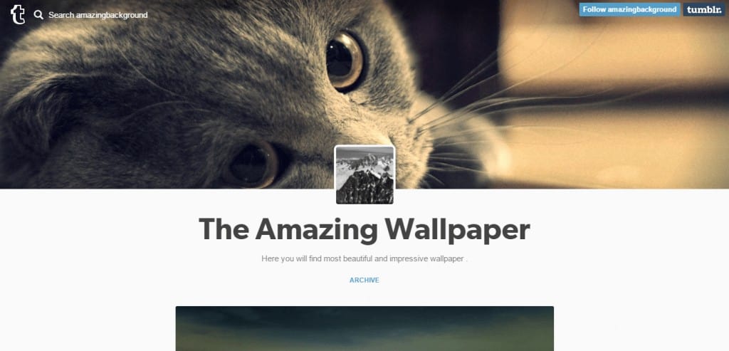 The Amazing Wallpaper