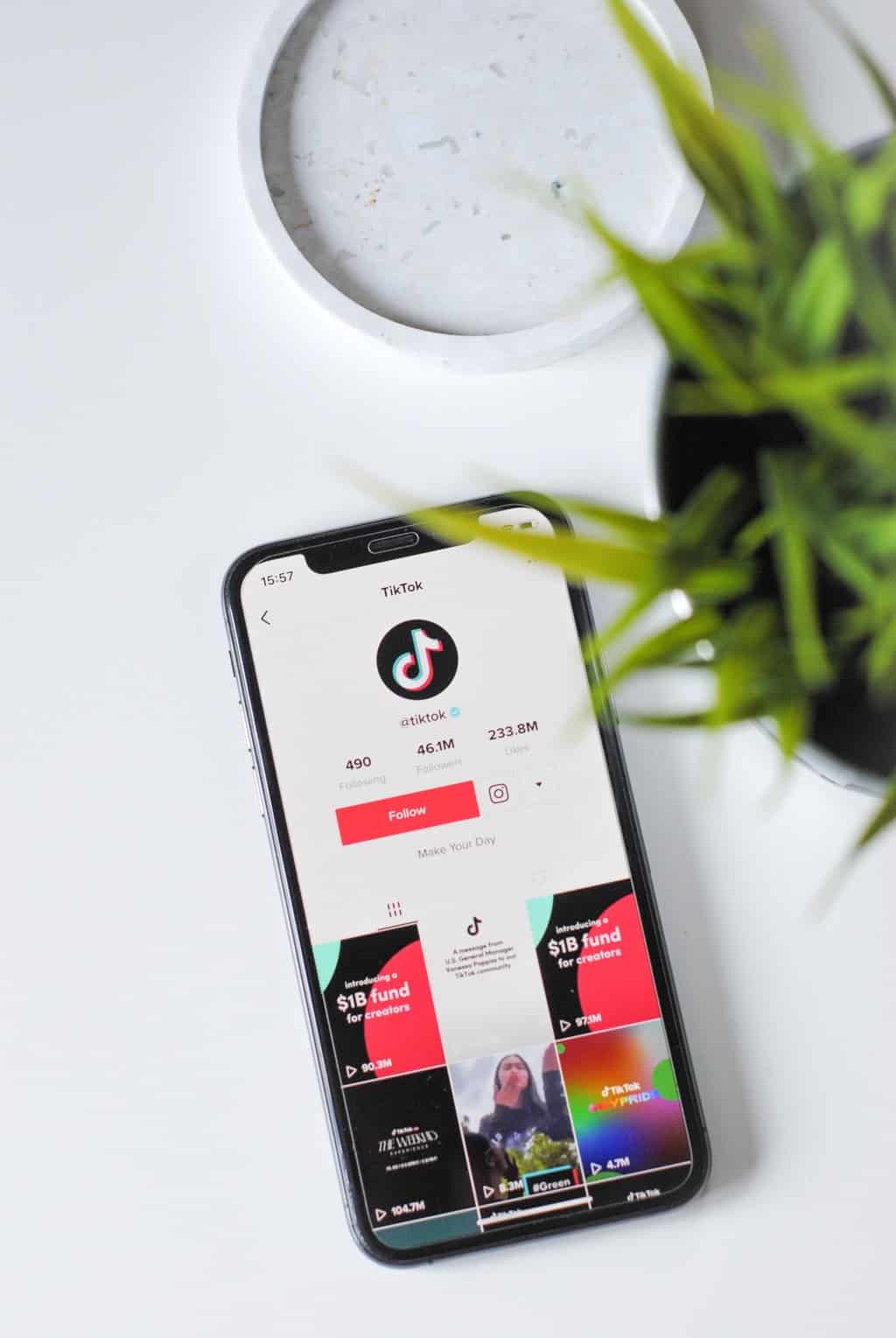 tiktok screen profile