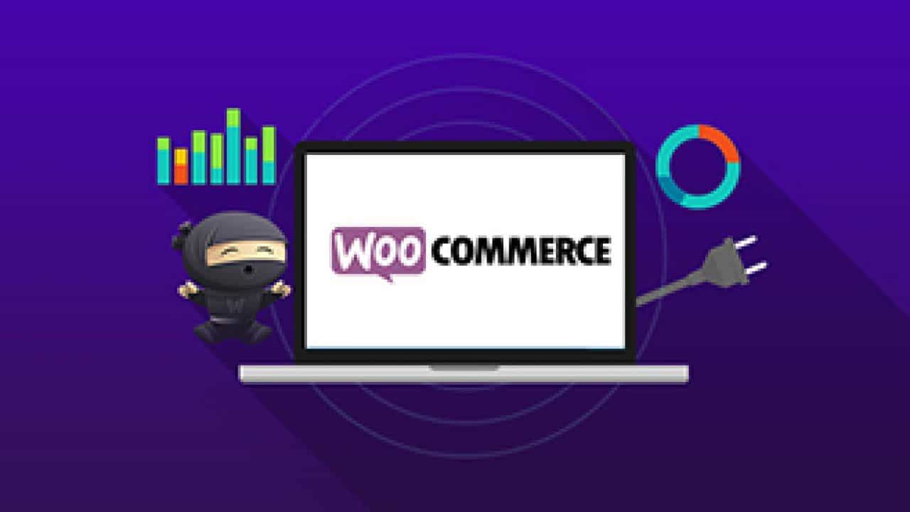 Woocommerce SEO