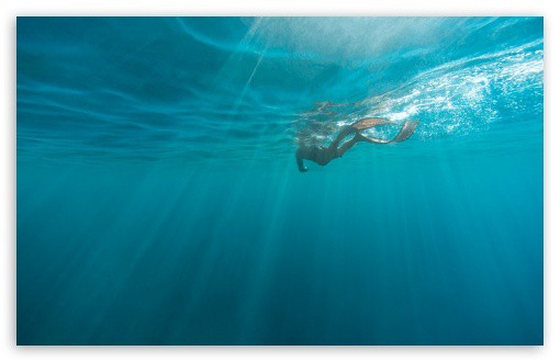 Under water diver Wallpaper
