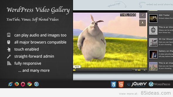 Video Gallery WordPress Plugin