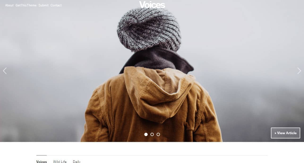 Voices Tumblr Theme