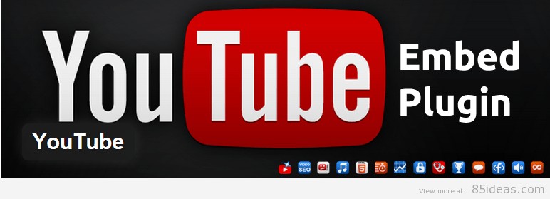 YouTube WordPress Plugin