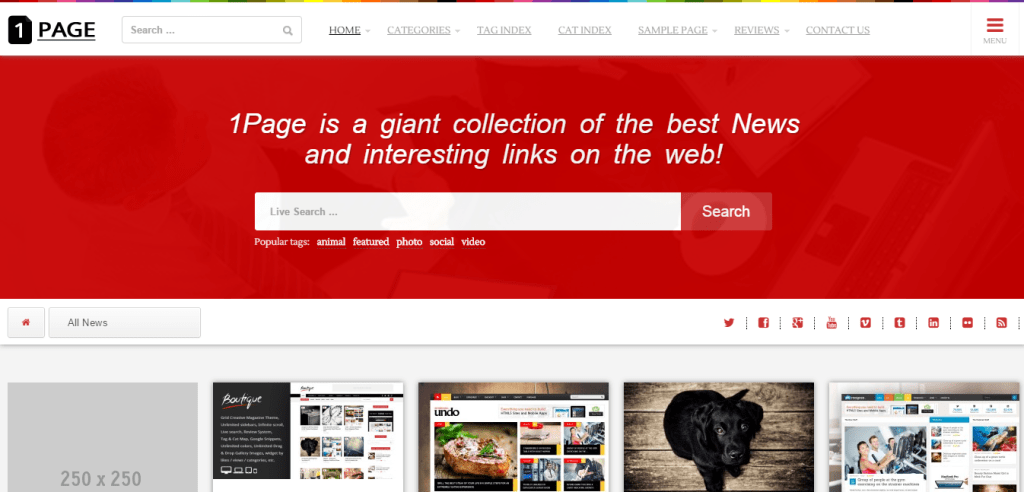 1Page pinterest theme