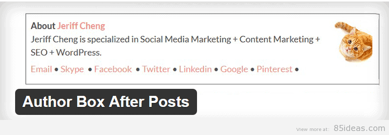 Author Box After Posts Plugin
