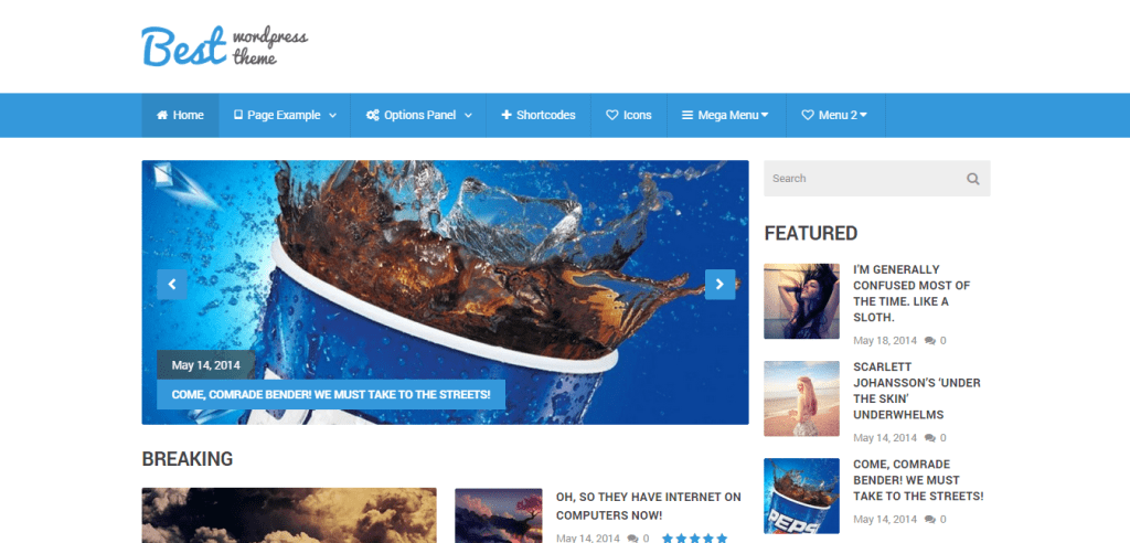 Best WordPress Theme