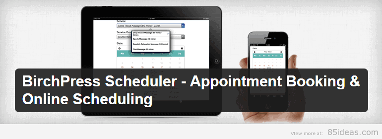 BirchPress Scheduler Plugin