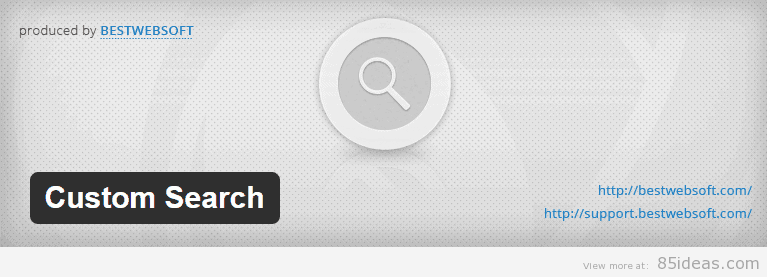Custom Search WordPress Plugin