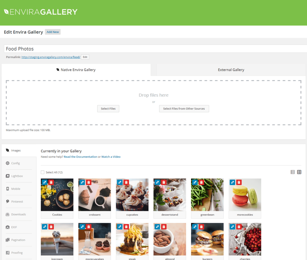envira-gallery-lite Media Manager WordPress Plugin