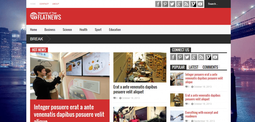 Flat News WordPress Theme