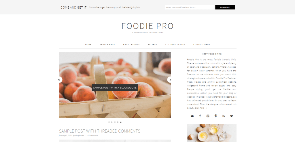 Foodie Pro Genesis Child Theme