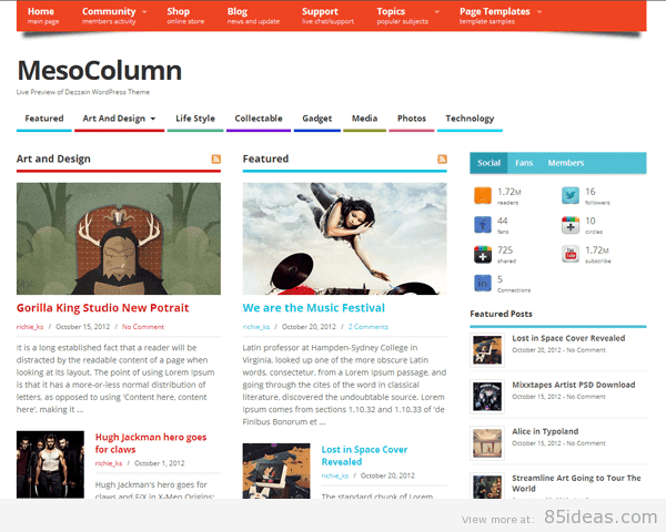 MesoColumn Free Theme