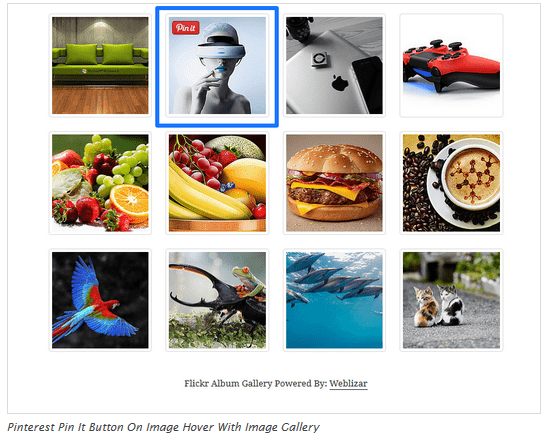 Pinterest Follow on Hover and image
