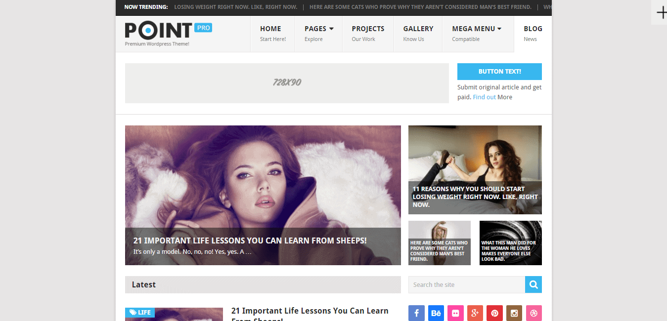 PointPro Theme MyThemeShop