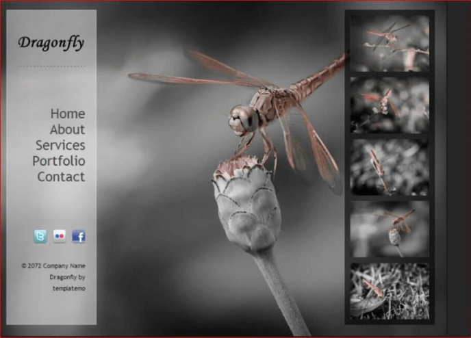 Best-Free-Dreamweaver-Templates