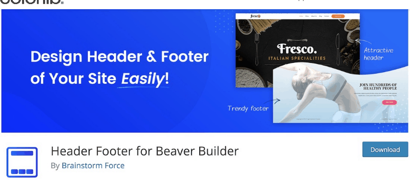 Best-WordPress-Footer-Plugins