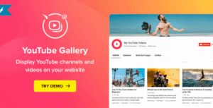 YouTube-Plugin-–-WordPress-YouTube-Gallery - WordPress YouTube Plugins