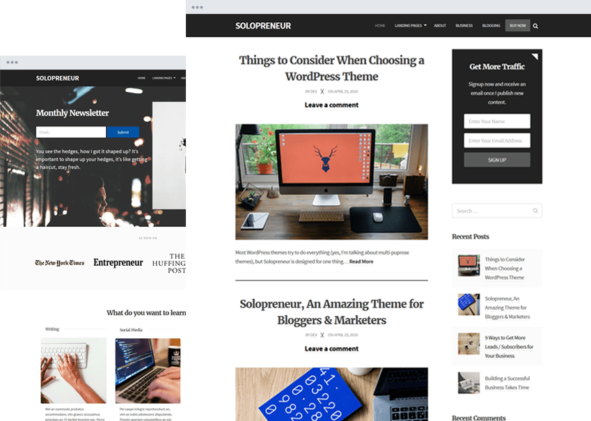 solopreneir WordPress theme