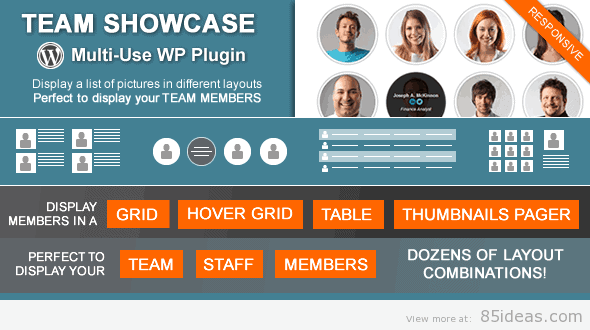 Team Showcase WordPress Plugin