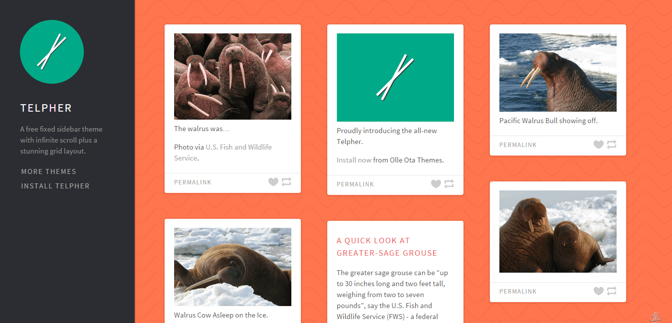 Telpher Tumblr Theme
