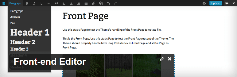 WordPress Front end Editor Plugin