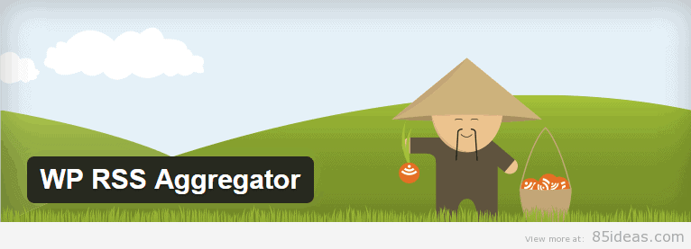 WP RSS Aggregator Plugin