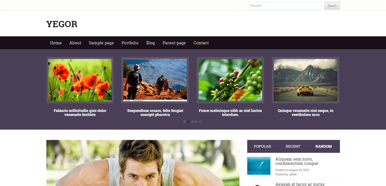 Yegor WordPress Theme