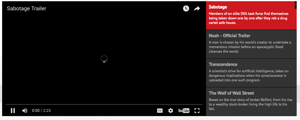 Youtube Vimeo Video Player & Slider WP Plugin